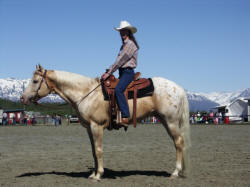 2005 Stallion Parade - Alaska