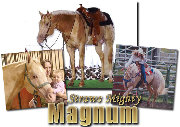 Straws Mighty Magnum